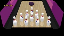   Brunswick Circuit Pro Bowling 2