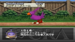 �������� Chocobo Stallion