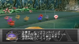 Chocobo Stallion �����