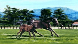 ������� ��� Classic Road