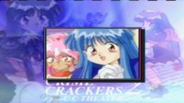 ����������� ���� Crime Crackers 2