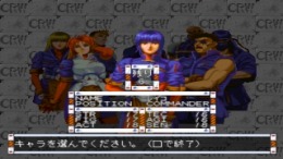 �������� ���� CRW - Counter Revolution War