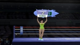 ������� Fighting Illusion K-1 Revenge