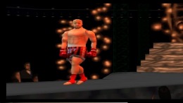 ������� Fighting Illusion V - K1 Grand Prix '99