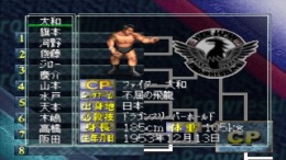 ������� Fire Pro Wrestling G