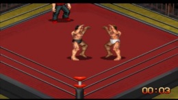 ������� ��� Fire Pro Wrestling G