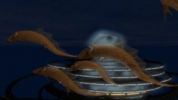 �������� ���� Galeoz