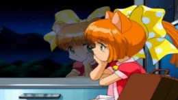 ������� Hiza no ue no partner - Kitty on your lap