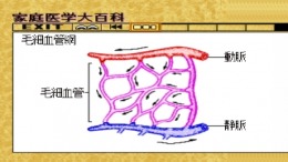 �������� Home Doctor