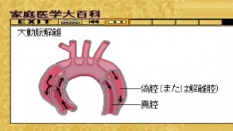 Home Doctor��� PS1