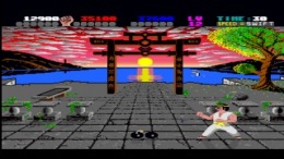   International Karate +