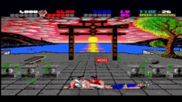   International Karate +