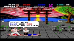   International Karate +