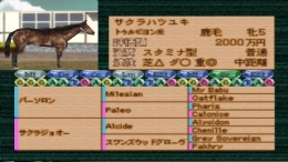 ������� Jitsumei Jikkyou Keiba Dream Classic