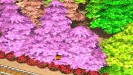 �������� ���� Jungle Park