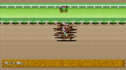 ������� ��� King of Stallion