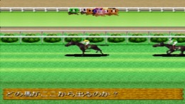 �������� King of Stallion