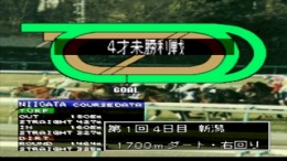 ������� King of Stallion