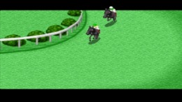 �������� ���� King of Stallion