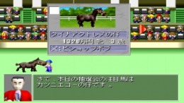 ����������� ���� King of Stallion