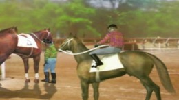 �������� Kyousouba Ikusei Simulation - Derby Stallion
