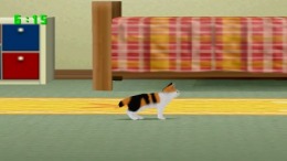 ������� ��� Mainichi Neko Youbi