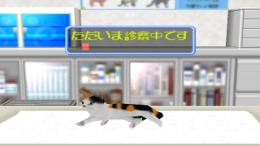 �������� ���� Mainichi Neko Youbi