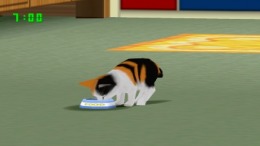 ����������� ���� Mainichi Neko Youbi