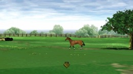  Mary King's Riding Star