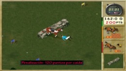  Mary King's Riding Star