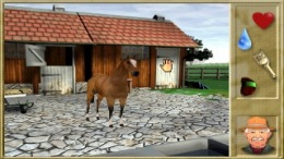   Mary King's Riding Star