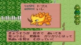 ������� ��� Monster Race