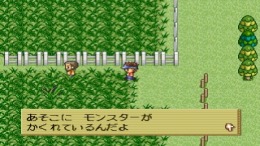 ������� Monster Race