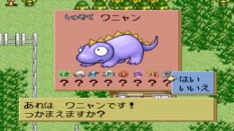 Monster Race �����