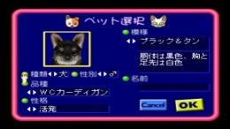 Motto! Nyan to Wonderful 2 �����