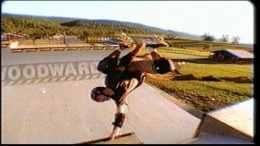 MTV Sports Skateboarding Featuring Andy MacDonald  PlayStation 1