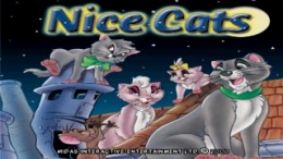  Nice Cats