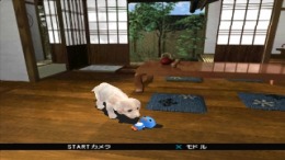 Pet in TV with my dear dog ��� PlayStation 1