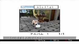 ����������� ���� Pet in TV with my dear dog