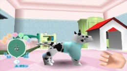 ������� Pet Pet Pet