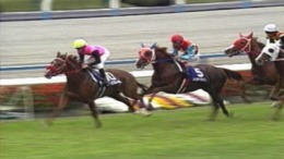 ������� Power Stakes Grade 1