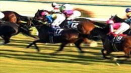 ����������� ���� Power Stakes Grade 1