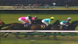 ������� ��� Power Stakes