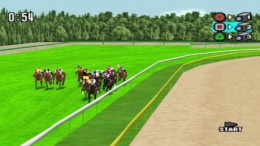 �������� Power Stakes