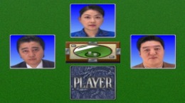 ����������� ���� Pro Mahjong Kiwame Tengensenhen