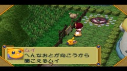 ������� ��� Purumui Purumui