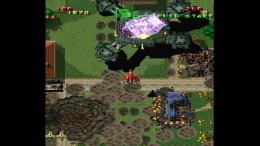 �������� ���� Raiden DX