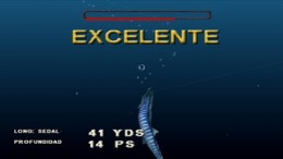  Saltwater Sportfishing