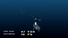  Saltwater Sportfishing