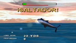   Saltwater Sportfishing